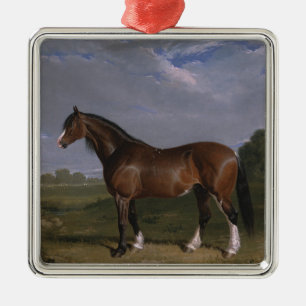 Clydesdale-hengst (Engels volbloedpaard) (dier) Metalen Ornament