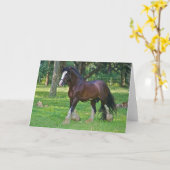 Clydesdale Horse Kaart (Gele Bloem)
