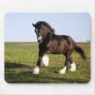 Clydesdale Horse Muismat