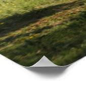 Clydesdale Horse Poster (Hoek)