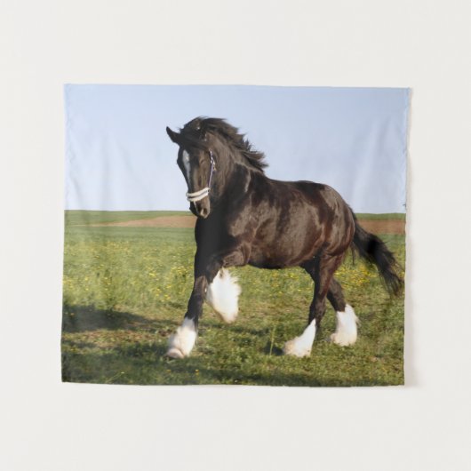 Clydesdale Horse Wandkleed (Voorkant (horizontaal))