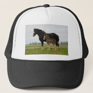 clydesdale mare en filly trucker pet