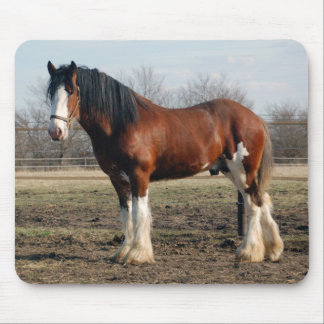 Clydesdale mousepad muismat