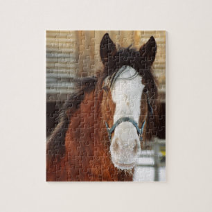 Clydesdale paard legpuzzel