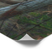 Clydesdale paarden poster (Hoek)