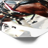 Clydesdale paarden poster (Hoek)