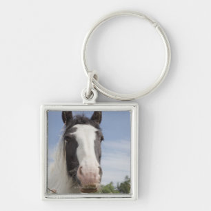 Clydesdale paardenportret sleutelhanger