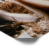 Clydesdale Poster (Hoek)