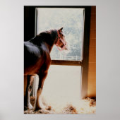 Clydesdale Poster (Voorkant)