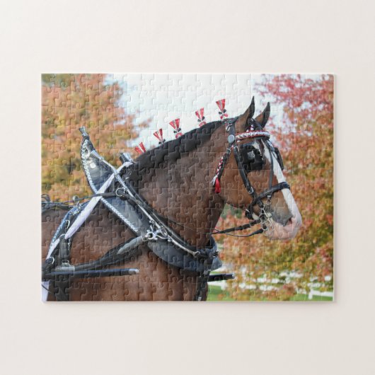 Clydesdale puzzel legpuzzel (Horizontaal)
