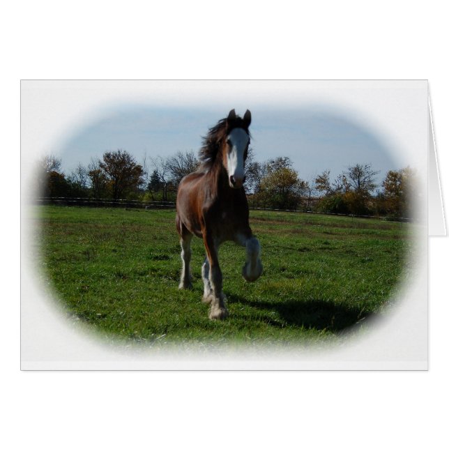 Clydesdale runnen (Voorkant Horizontaal)