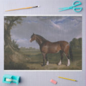 Clydesdale Stallion (Thoroughbred Horse) (Dier) Tissuepapier (Craft)