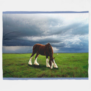 Clydesdale Storm Fleece Deken