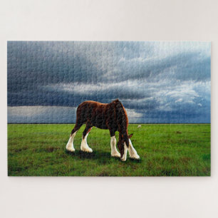Clydesdale Storm Legpuzzel