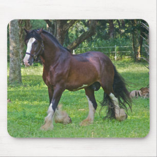 Clydesdalepaard Muismat