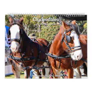 Clydesdales & andere zware paardenrassen 2027  kalender