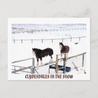 CLYDESDALES IN DE SNEE BRIEFKAART