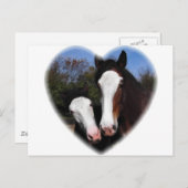 Clydesdales in het hart briefkaart (Voorkant / Achterkant)
