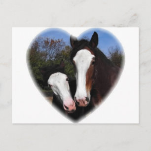 Clydesdales in het hart briefkaart