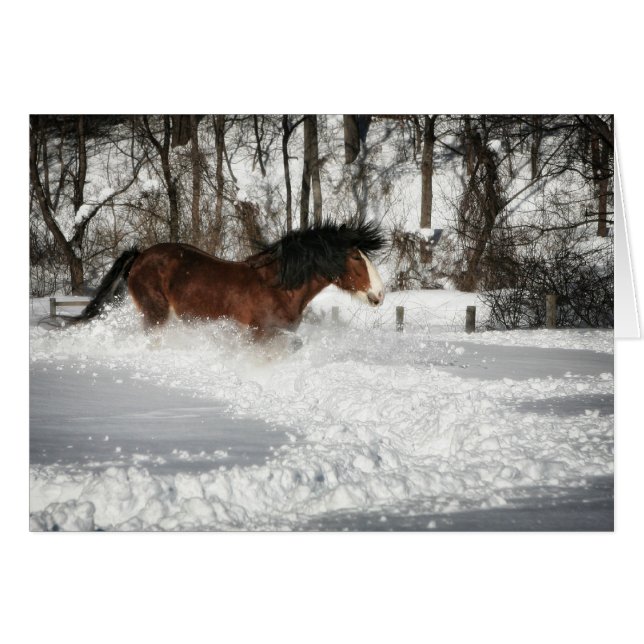 Clydesdale's Snowy Run (Devant Horizontal)