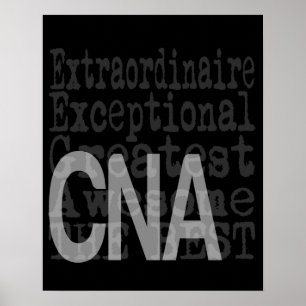 CNA-extraordinaire Poster