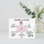 Coaching Card: Lucy Gill's amibe Briefkaart (Staand voorkant)