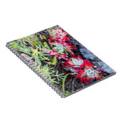 Coast Dudleya op Point Reyes National Seashore Notitieboek (Rechterzijde)