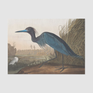 coastal Audobon blue heron Tissue Paper Tissuepapier