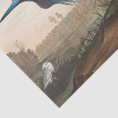 coastal Audobon blue heron Tissue Paper Tissuepapier (Detail)