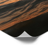 Coastal Dolphin Poster (Hoek)