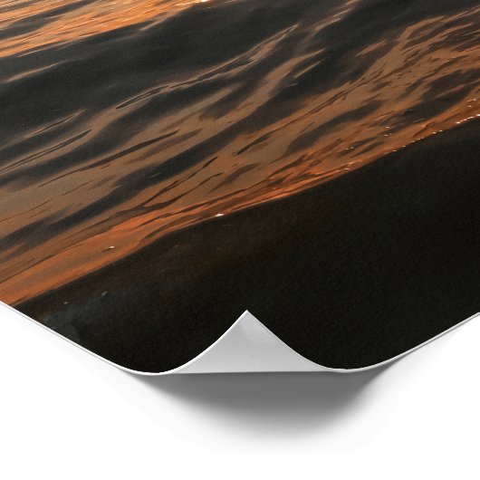 Coastal Dolphin Poster (Coin)