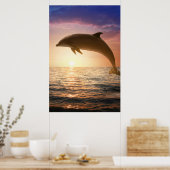 Coastal Dolphin Poster (Keuken)