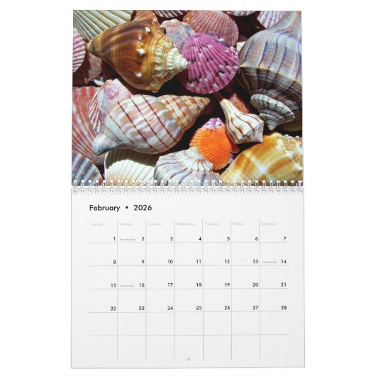 Coastal Ocean Zee Shell-patroon Kalender (Feb 2026)