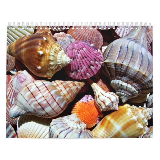 Coastal Ocean Zee Shell-patroon Kalender (Hoes)