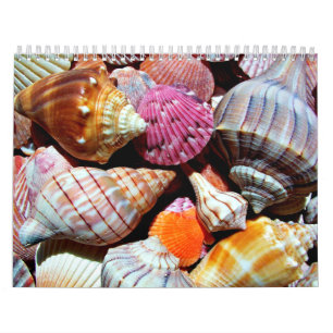Coastal Ocean Zee Shell-patroon Kalender
