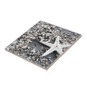 Coastal Ocean Zee Shell-patroon Tegeltje (Zijkant)