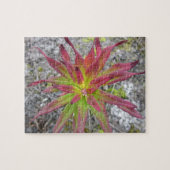 Coastal Paintbrush Puzzel Legpuzzel (Horizontaal)