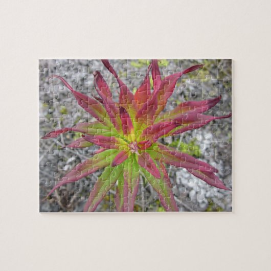 Coastal Paintbrush Puzzel Legpuzzel (Horizontaal)