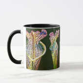 Coastal Pitcher Plant Group Mok (Links)