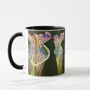 Coastal Pitcher Plant Group Mok