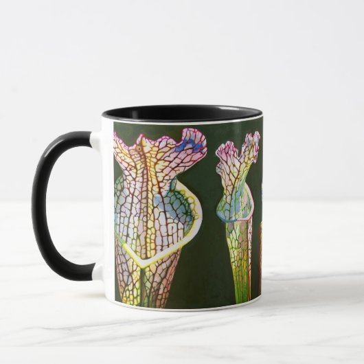 Coastal Pitcher Plant Group Mok (Links)