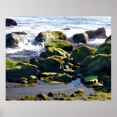 Coastal Tidepools Poster (Voorkant)