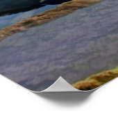 Coastal Tidepools Poster (Hoek)