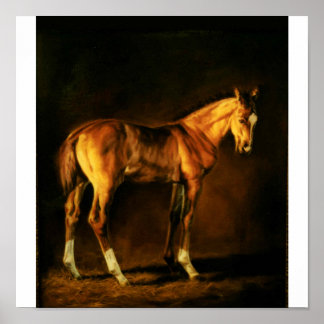 "COAT VAN VEEL KLEUREN" VAN LONNI CLARKE POSTER