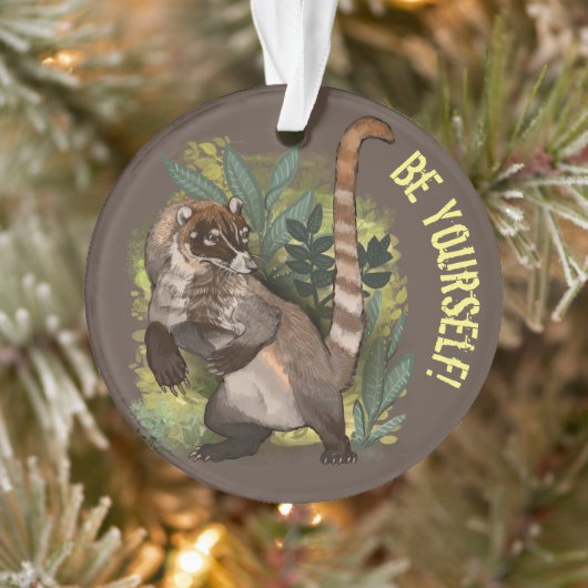 Coatamundi of White Nosed Coati Ornament (Boom)