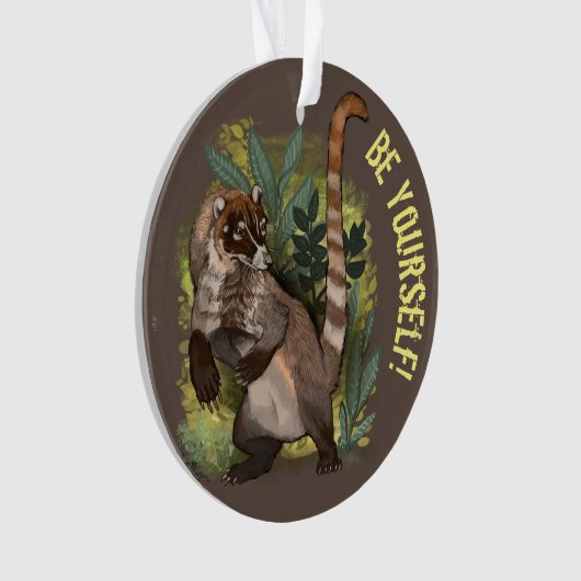 Coatamundi ou Coati noir blanc (devant)