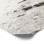 Coba Piramide Ruïnes Riviera Maya Mexico Poster (Hoek)