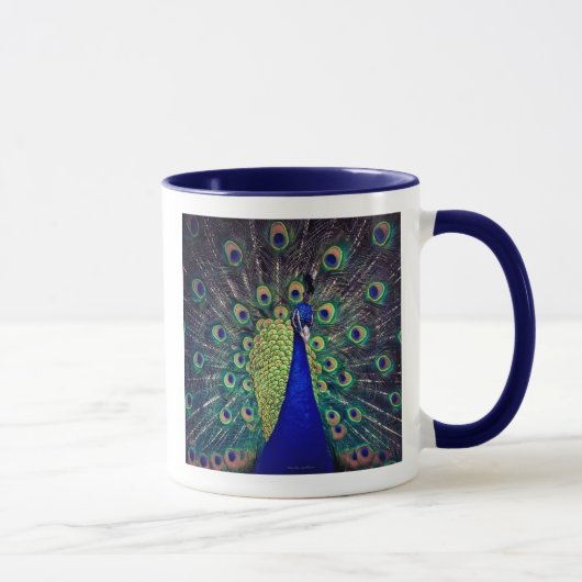 Cobalt Blue Peacock Coffee Mug (Droite)