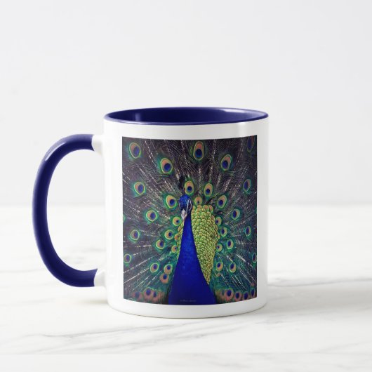 Cobalt Blue Peacock Coffee Mug (Gauche)