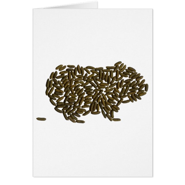 Cobaye classique (Devant)